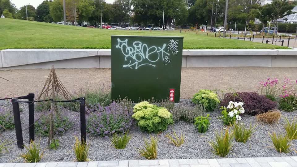 The photograph attached to this graffiti report
