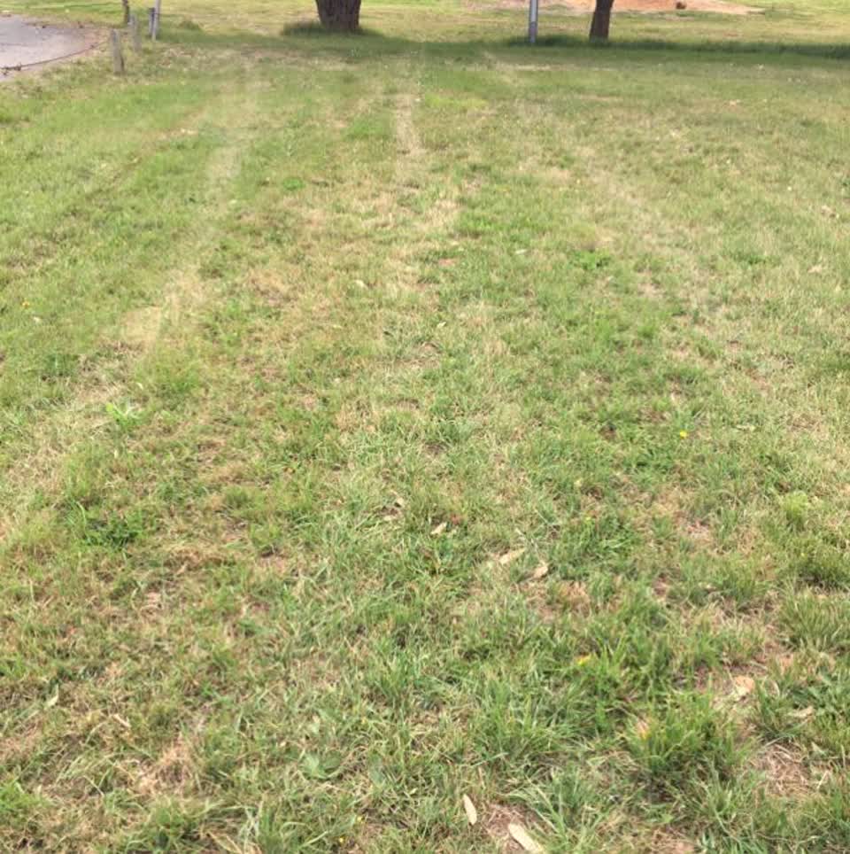 The photograph attached to this parks report