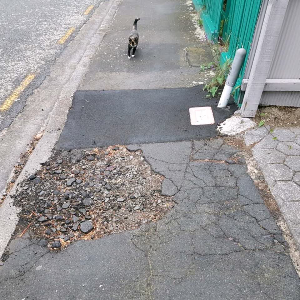 The photograph attached to this roading/streets report