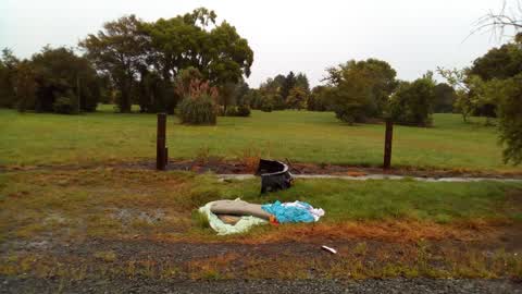 Rubbish/Recycling, a report photo