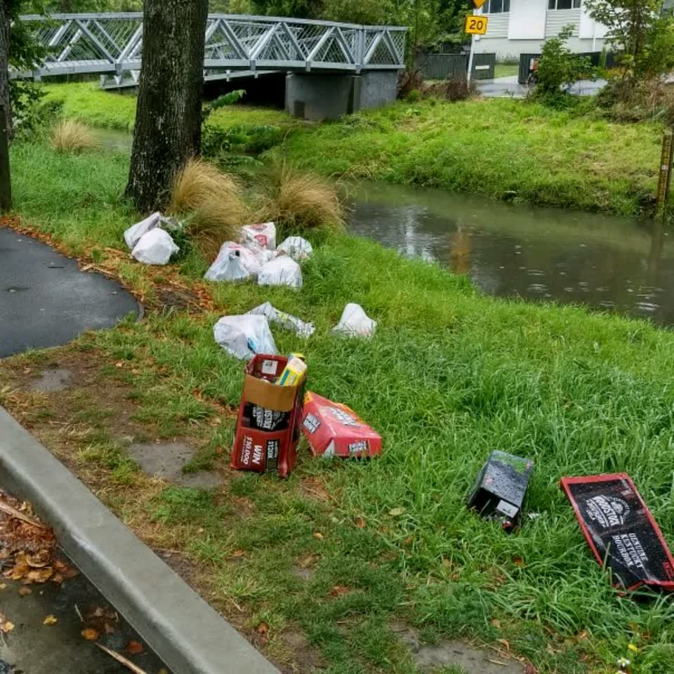 The photograph attached to this parks report