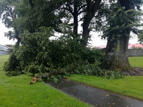 Parks, a report photo