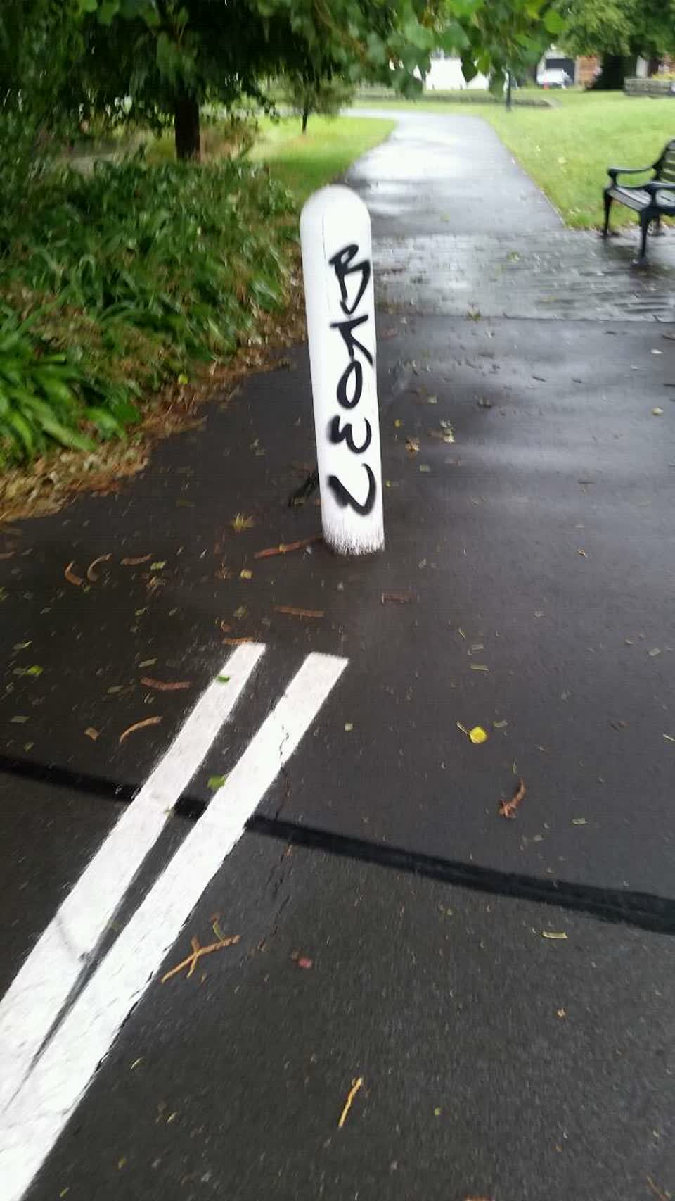 The photograph attached to this graffiti report