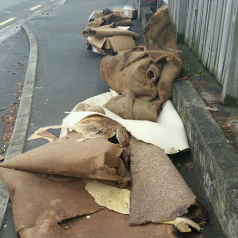Rubbish/Recycling, a report photo