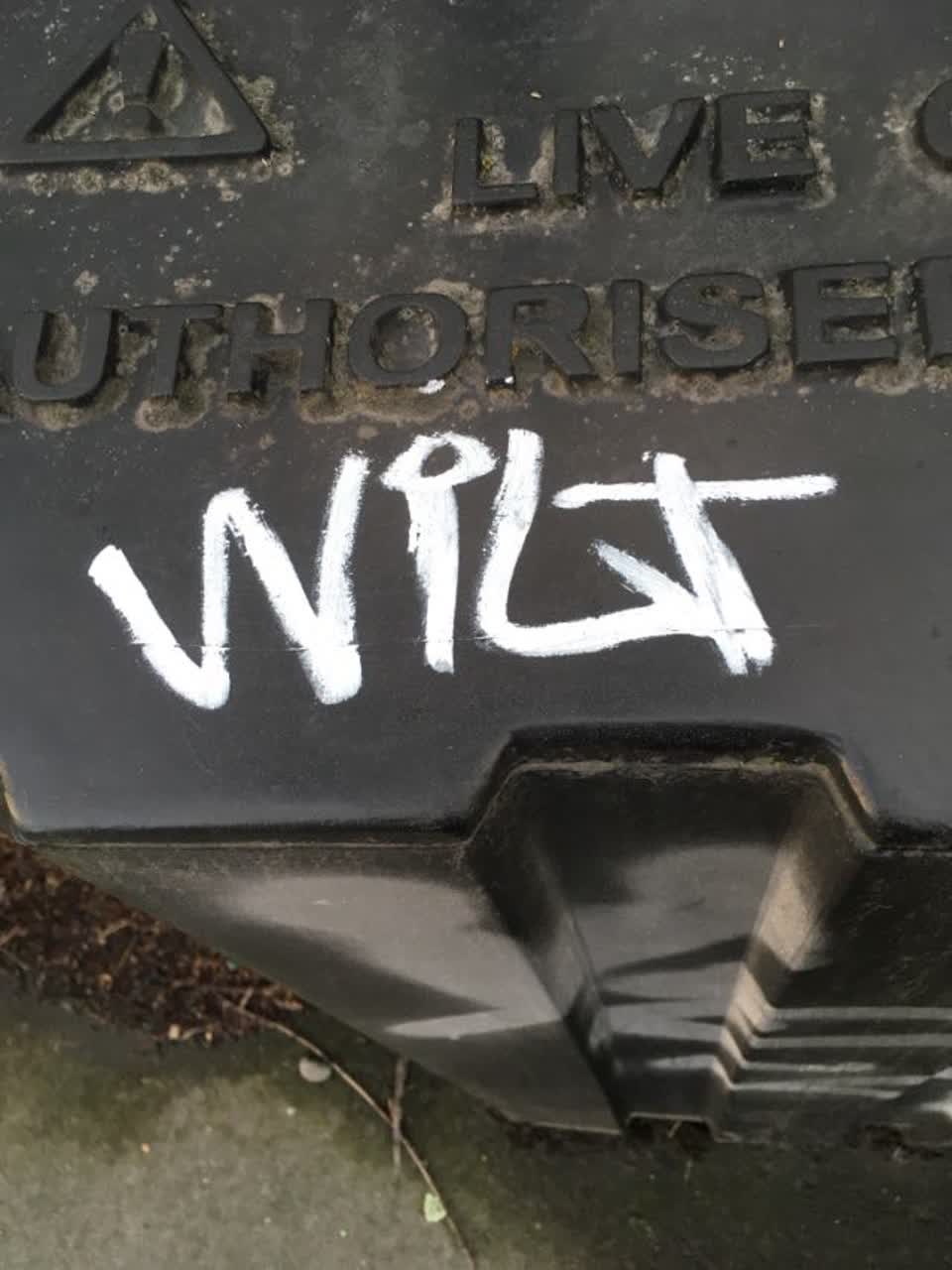 The photograph attached to this graffiti report