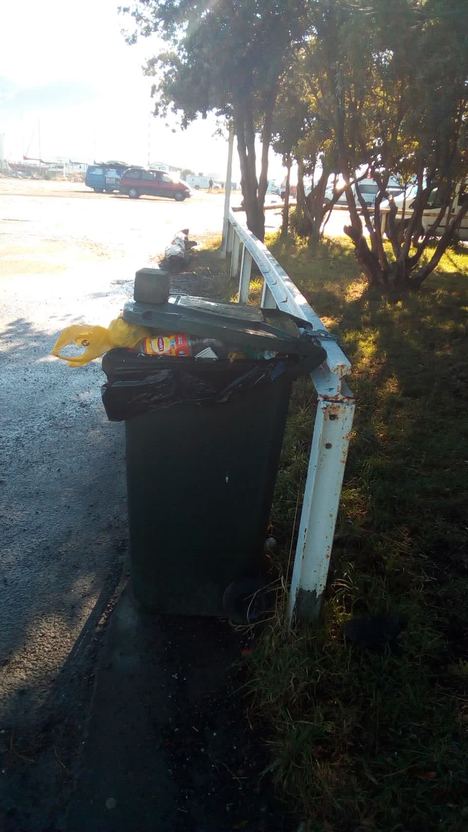 The photograph attached to this parks report