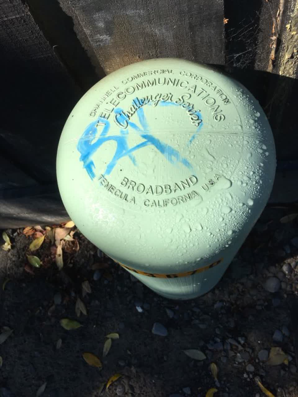 The photograph attached to this graffiti report