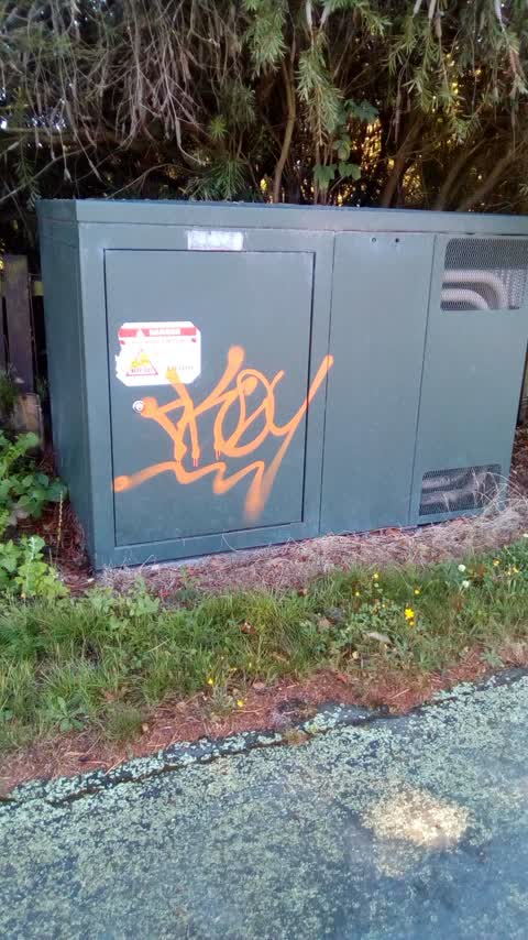 Graffiti, a report photo