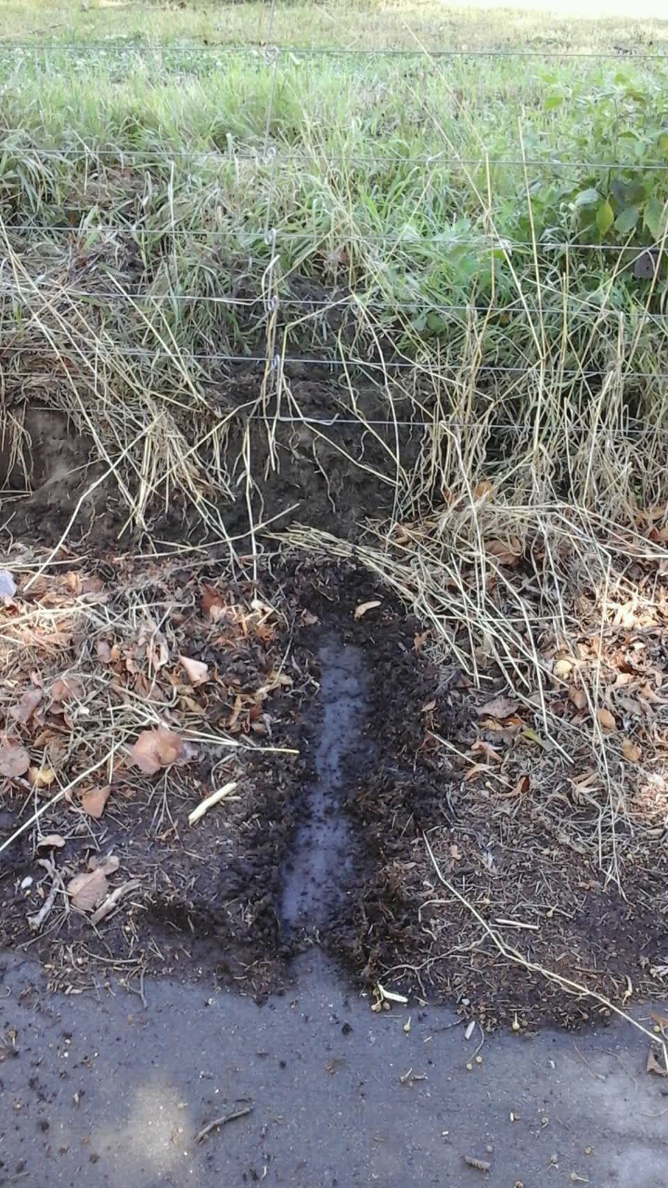 The photograph attached to this parks report
