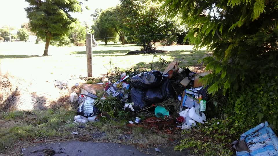The photograph attached to this roading/streets report