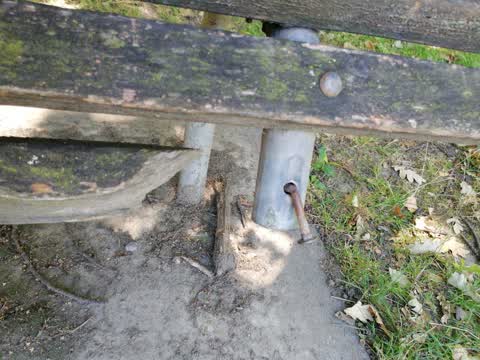 Parks, a report photo