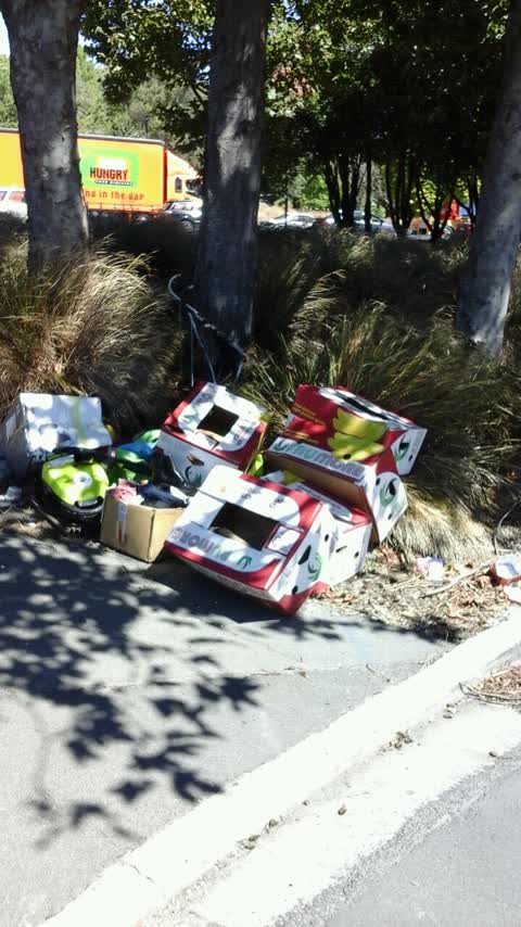 Rubbish/Recycling, a report photo