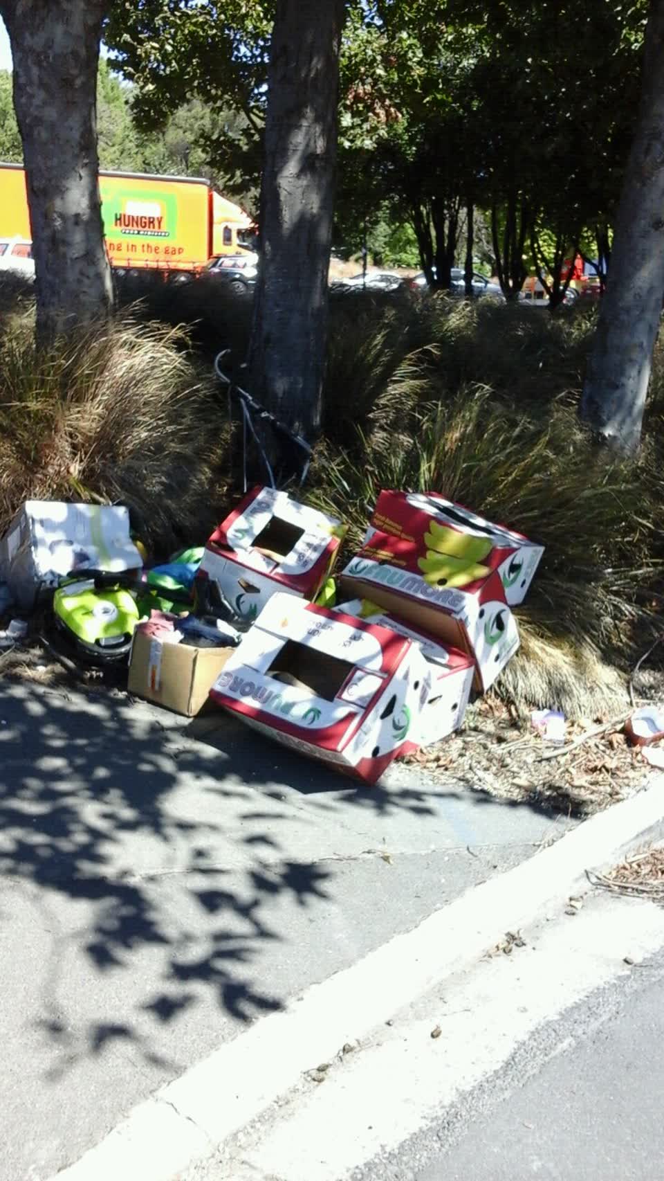 The photograph attached to this rubbish/recycling report
