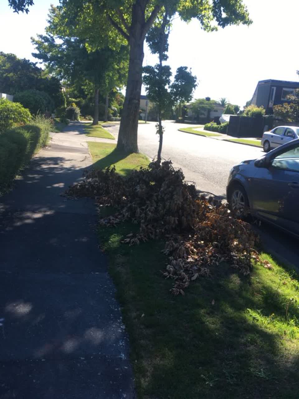 The photograph attached to this roading/streets report