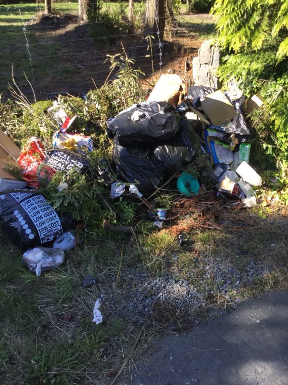 The photograph attached to this rubbish/recycling report