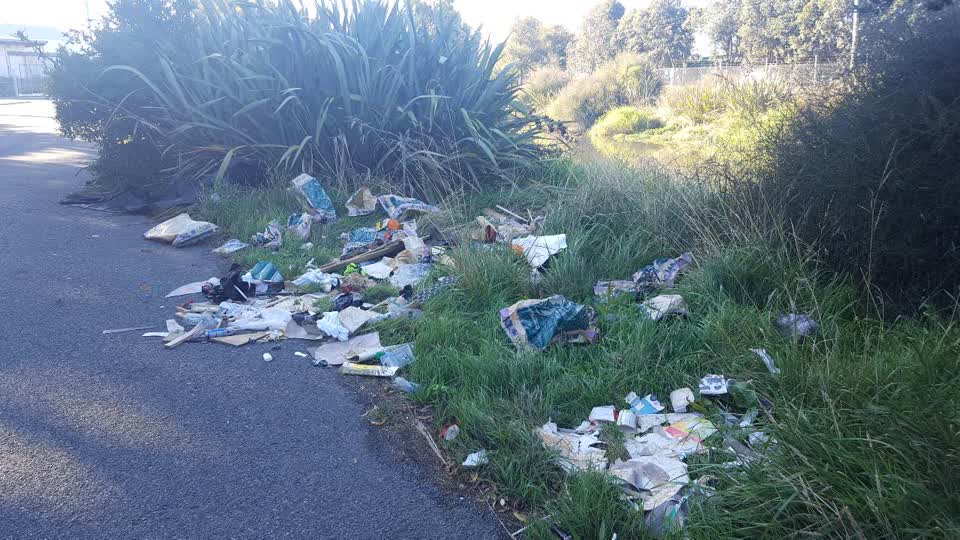 The photograph attached to this rubbish/recycling report