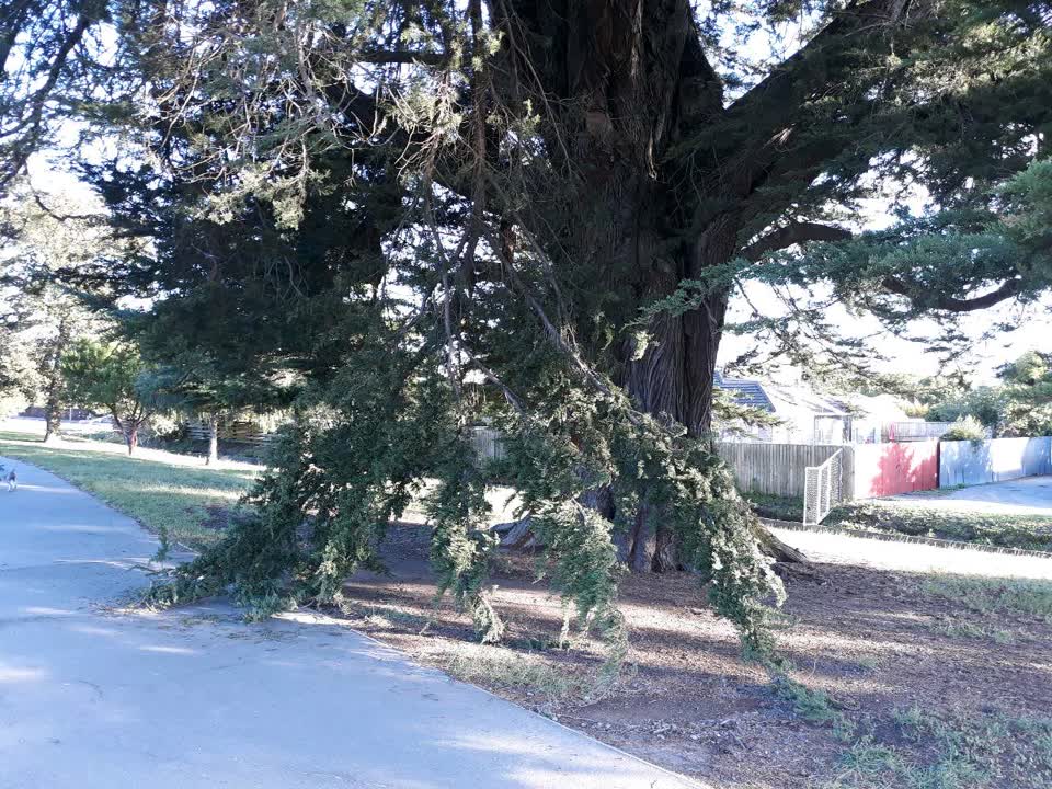 The photograph attached to this parks report