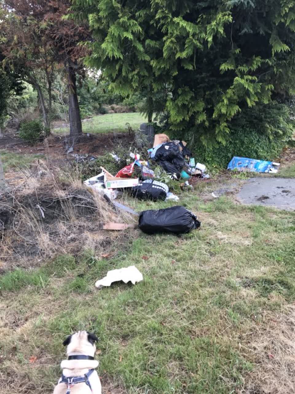 The photograph attached to this rubbish/recycling report