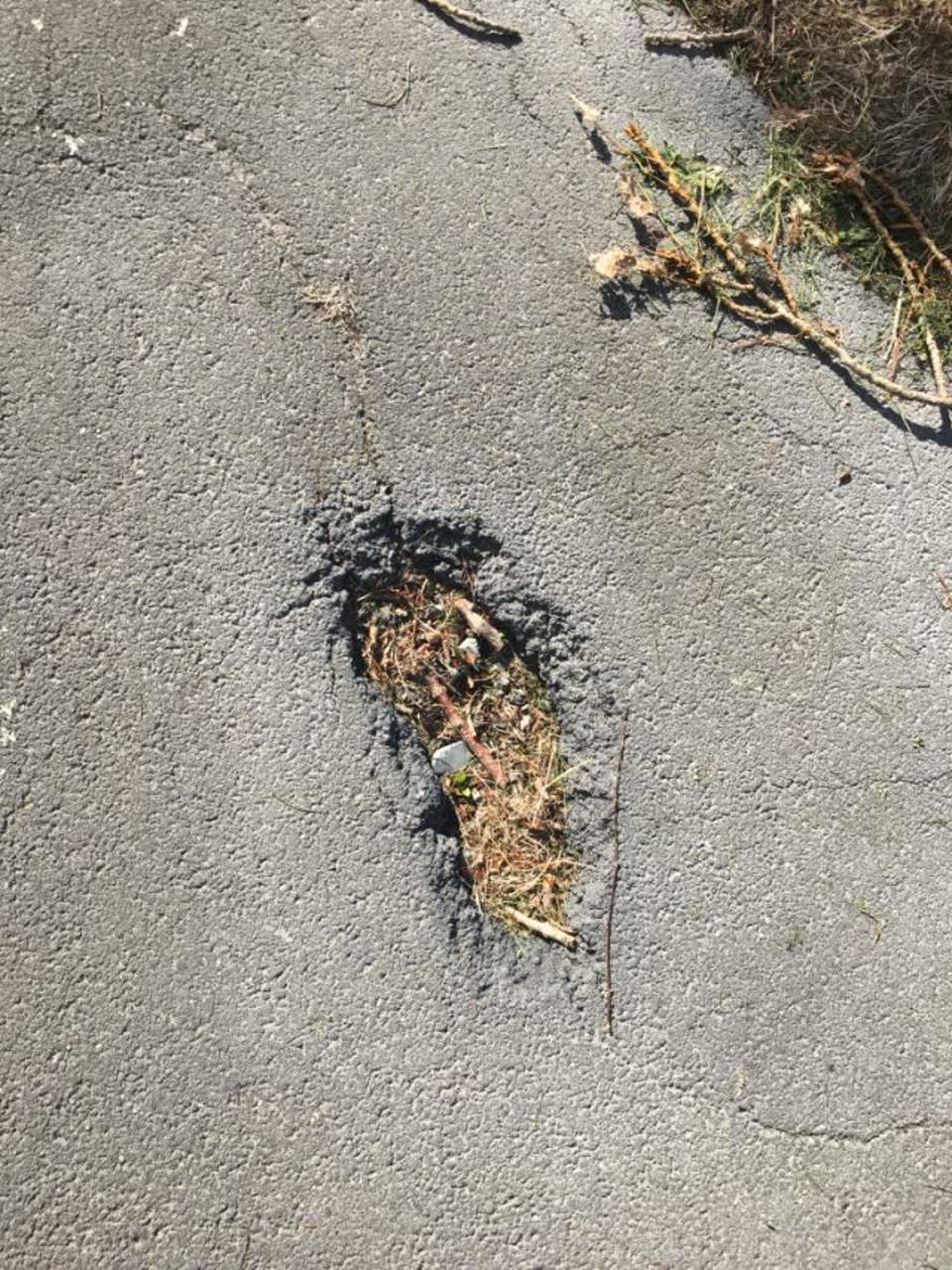 The photograph attached to this parks report