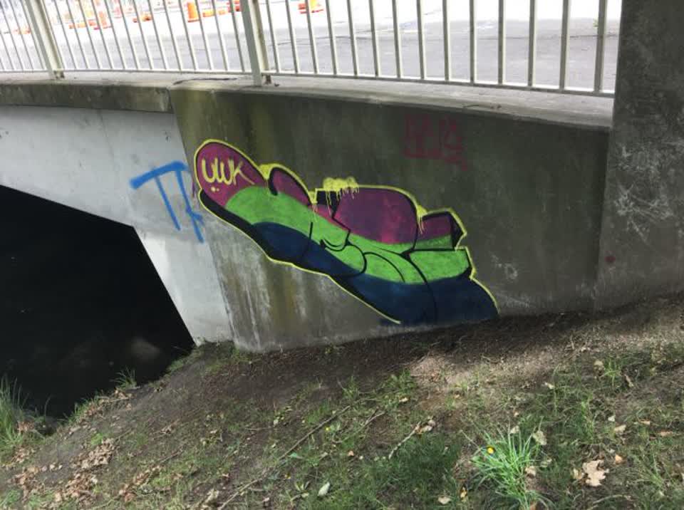 The photograph attached to this graffiti report