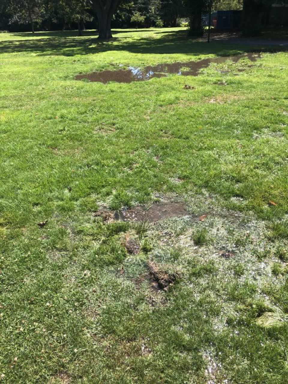 The photograph attached to this water supply report