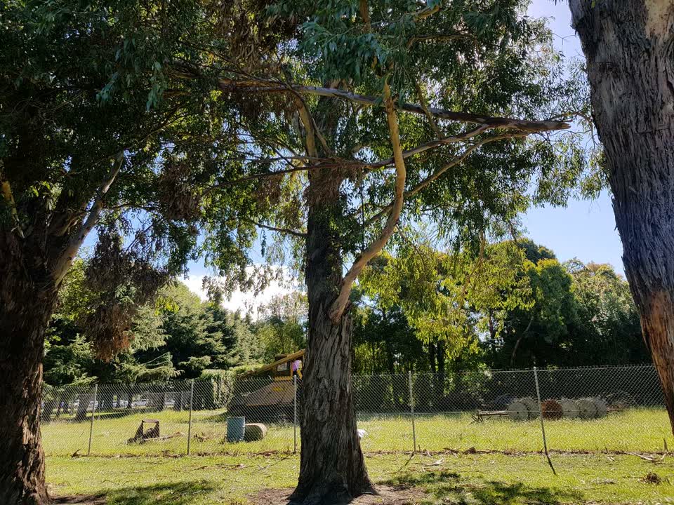 The photograph attached to this parks report