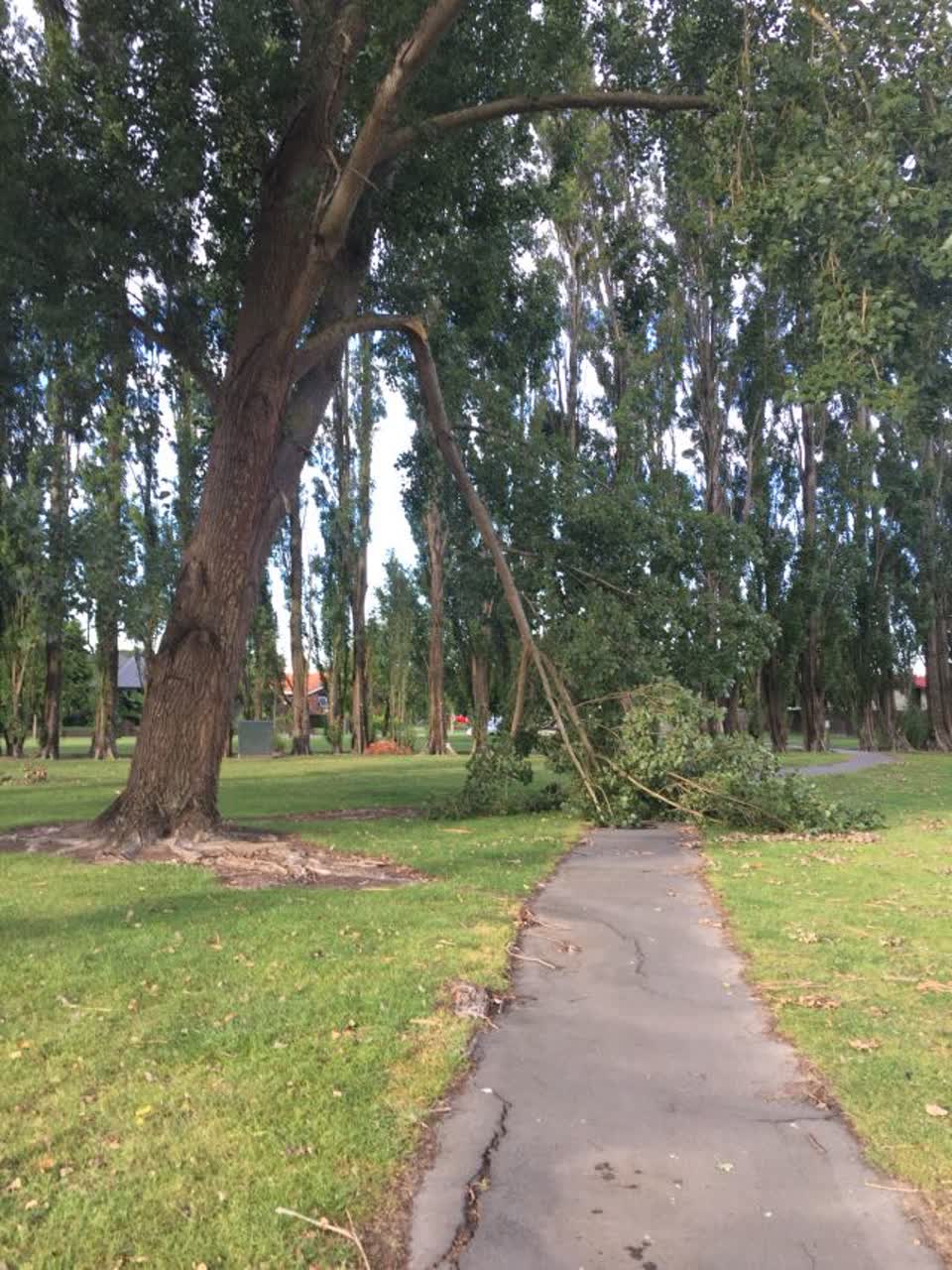 The photograph attached to this parks report