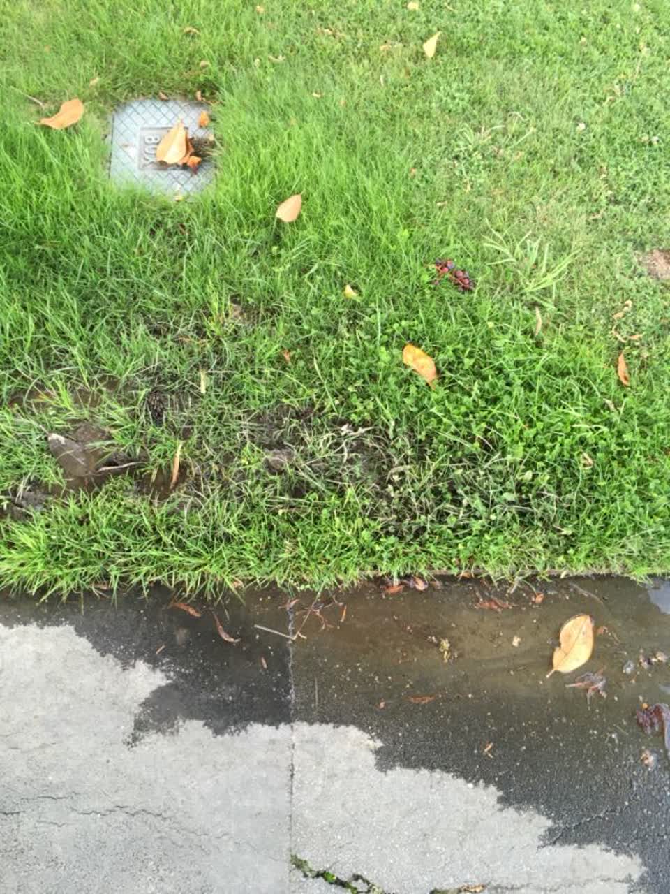 The photograph attached to this wastewater/stormwater report