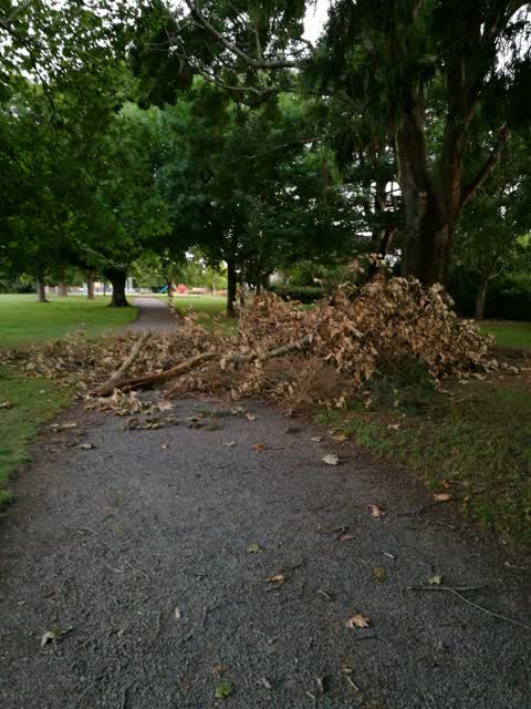 Parks, a report photo
