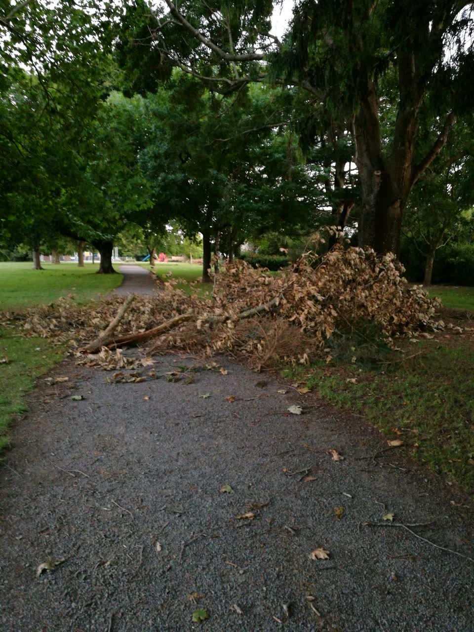 The photograph attached to this parks report