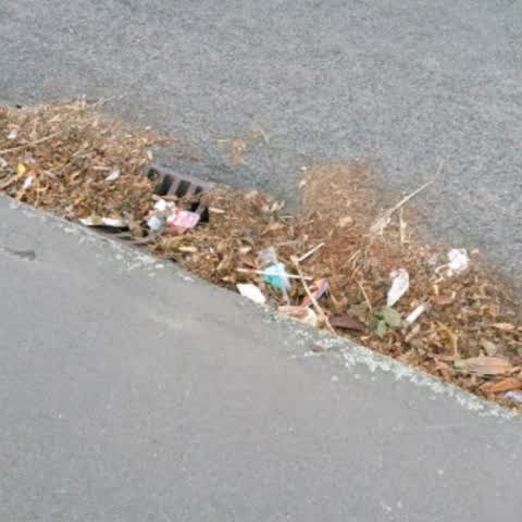Roading/Streets, a report photo
