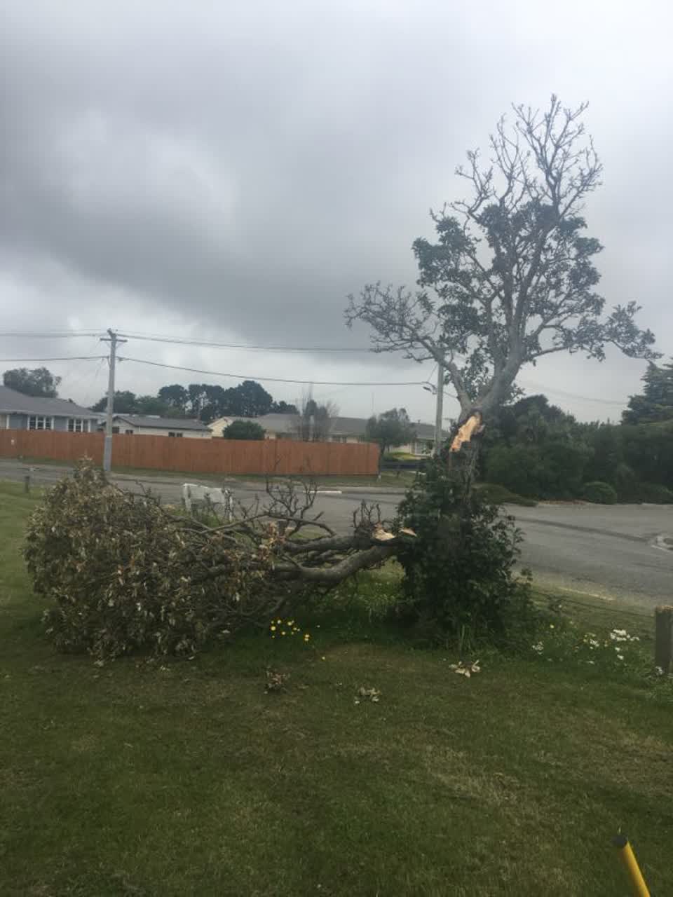 The photograph attached to this parks report