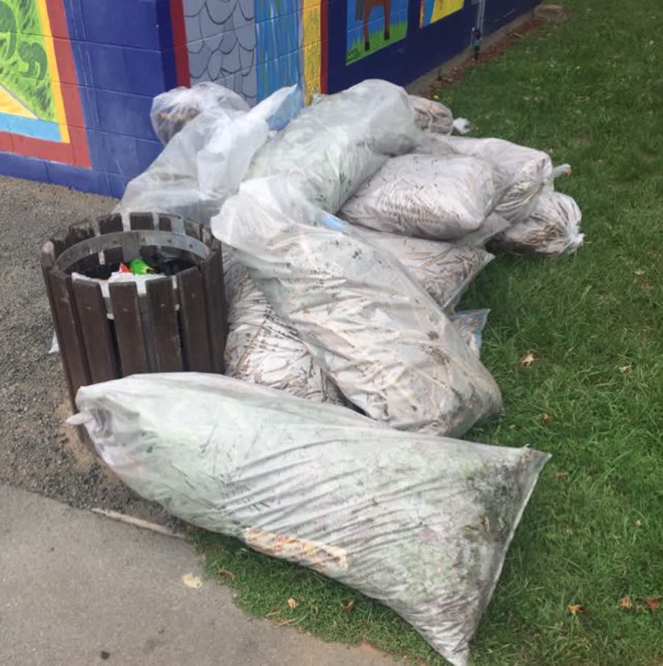 The photograph attached to this rubbish/recycling report