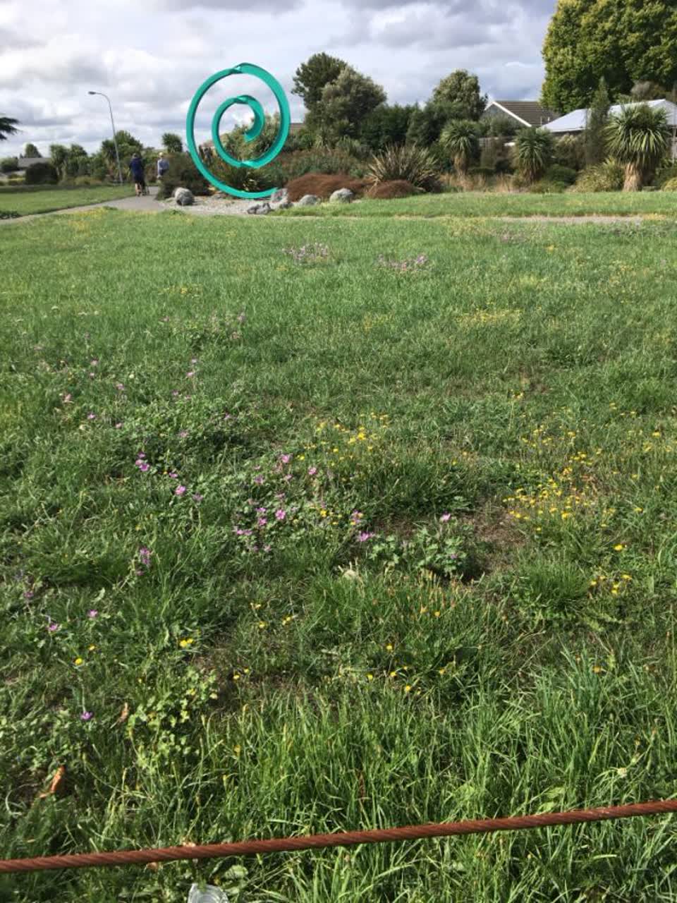 The photograph attached to this parks report