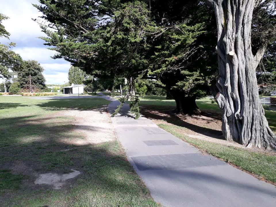 The photograph attached to this parks report