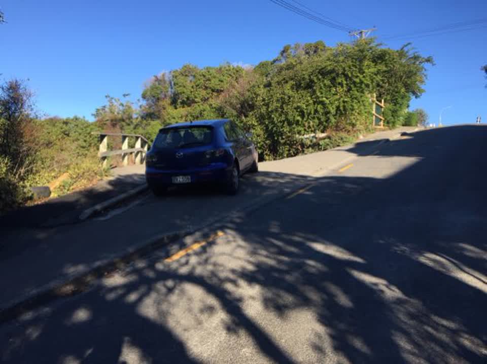 The photograph attached to this parks report