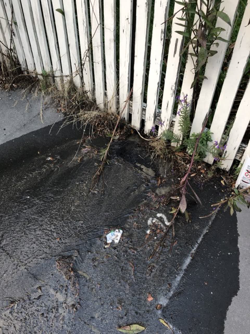 The photograph attached to this water supply report