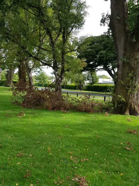 Parks — a report photo