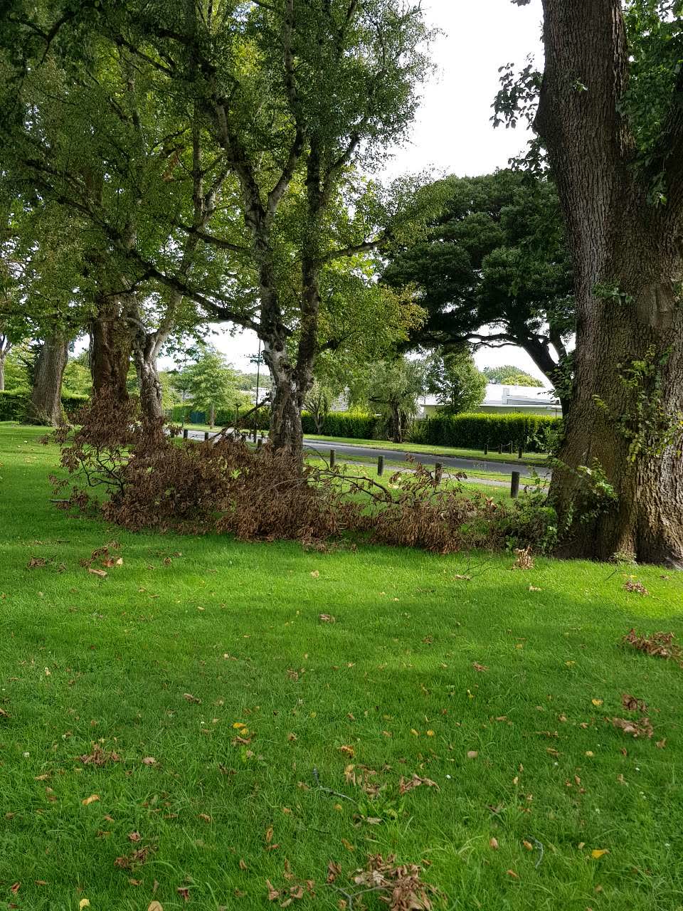 The photograph attached to this parks report