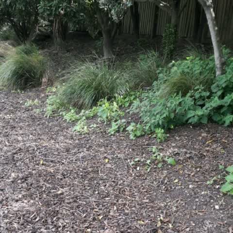 Parks, a report photo