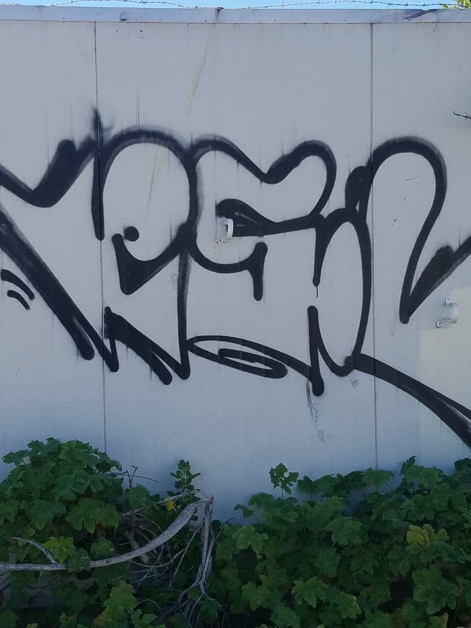 The photograph attached to this graffiti report