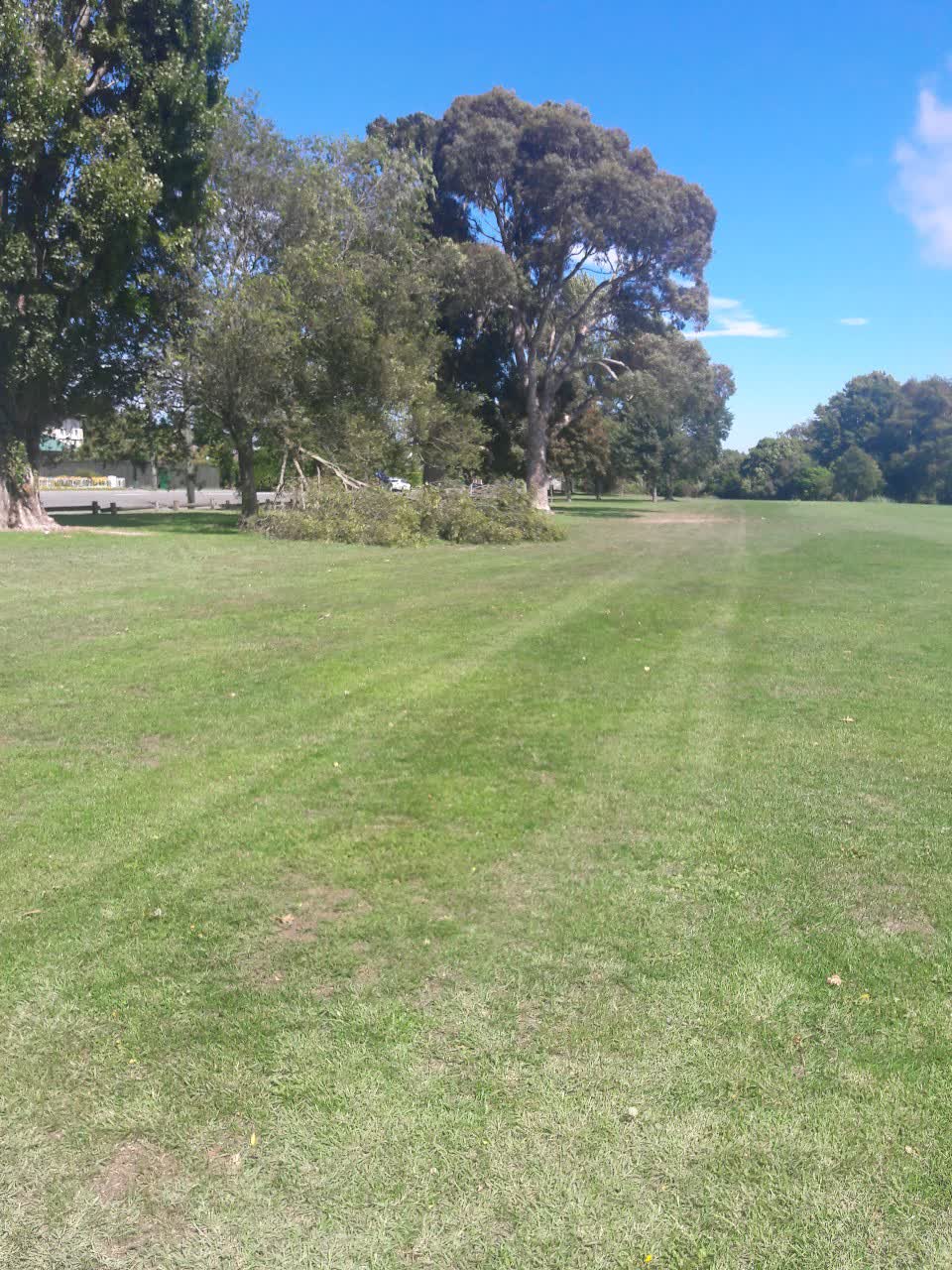 The photograph attached to this parks report