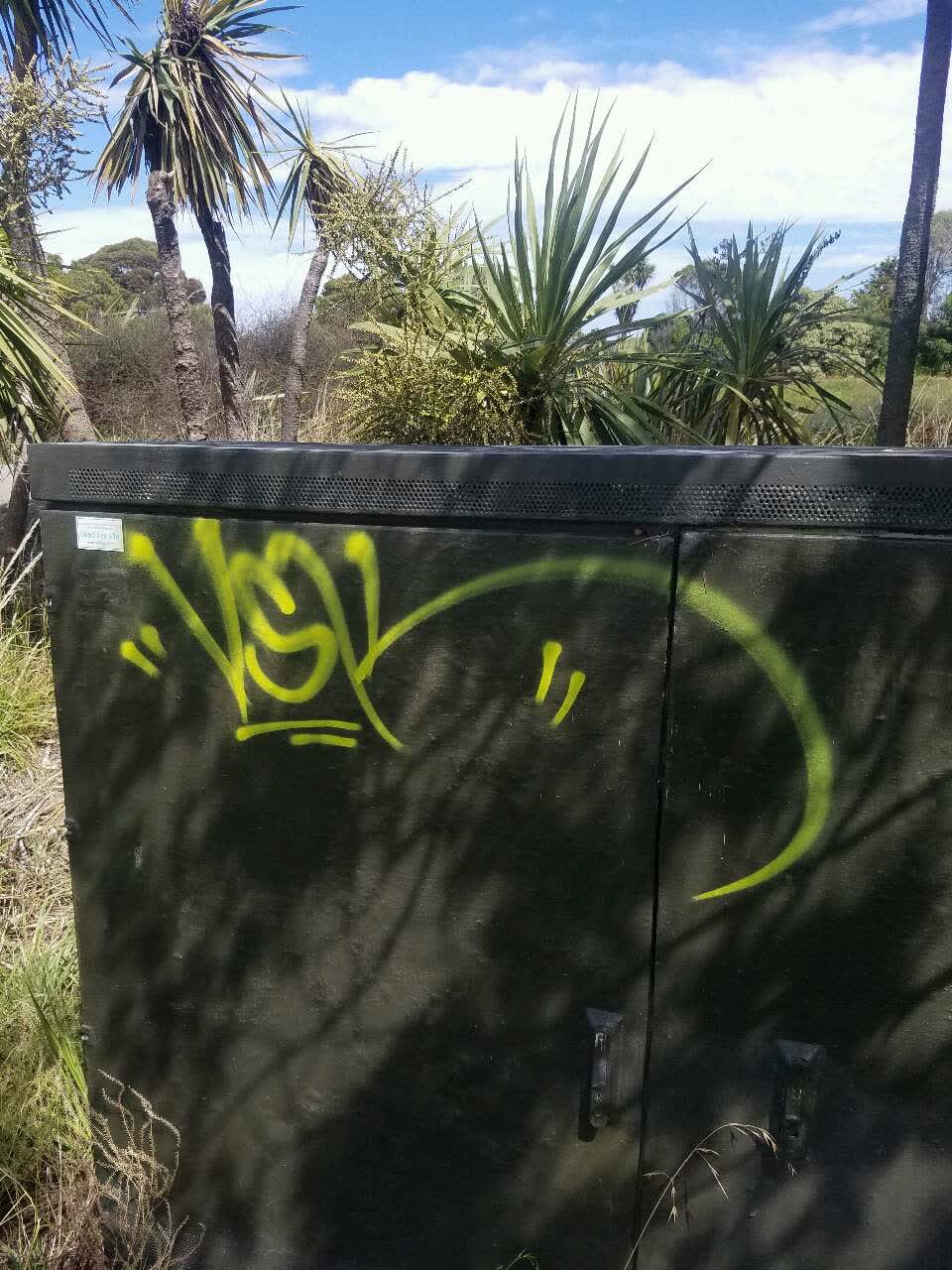 The photograph attached to this graffiti report