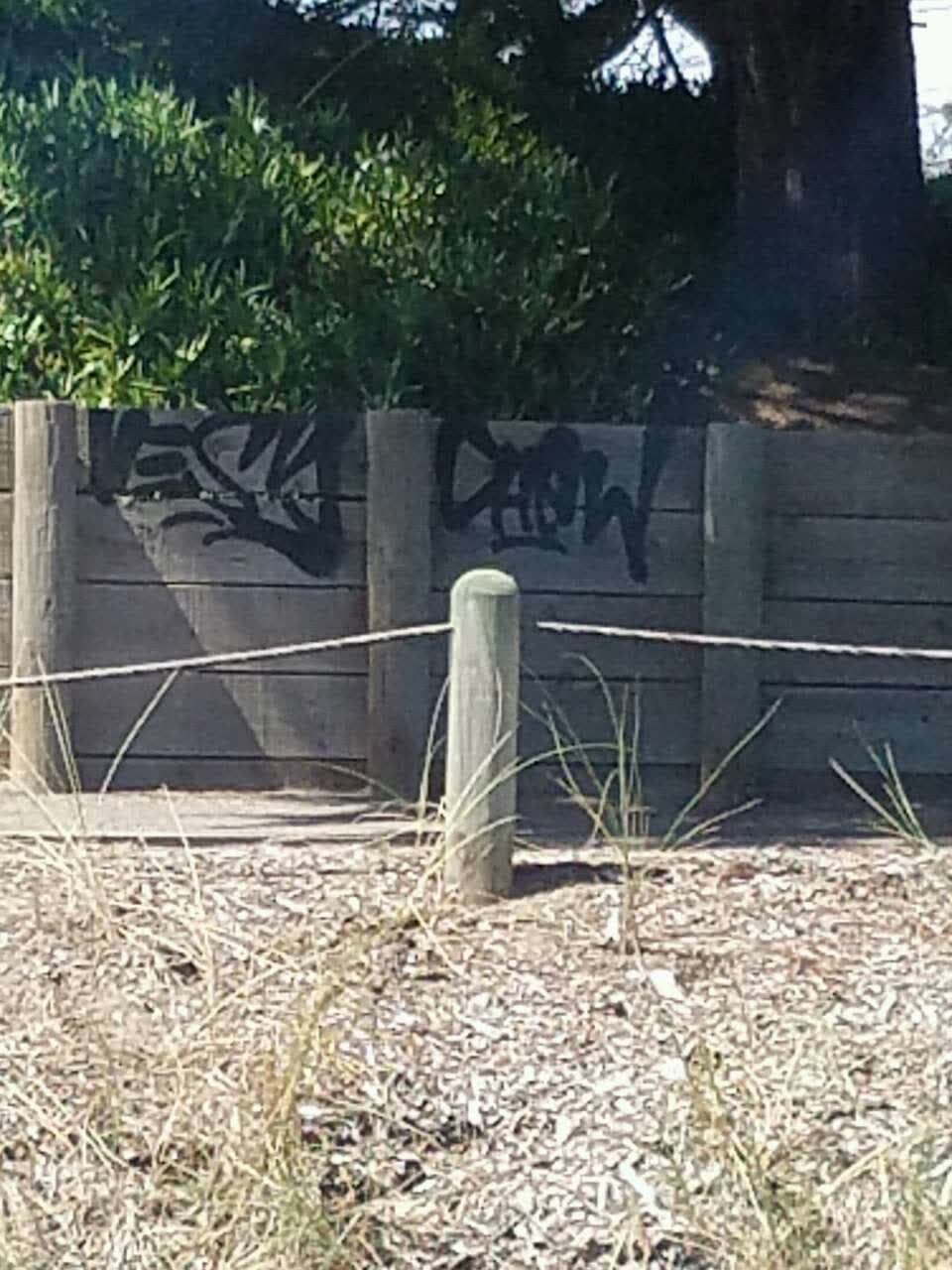 The photograph attached to this graffiti report