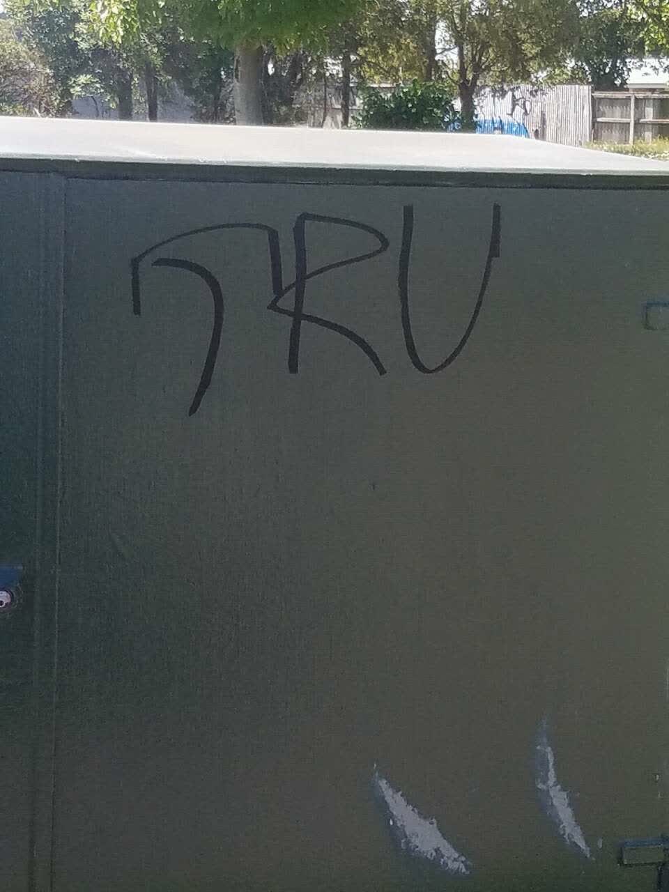 The photograph attached to this graffiti report