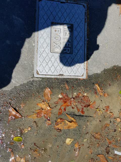 Water Supply, a report photo