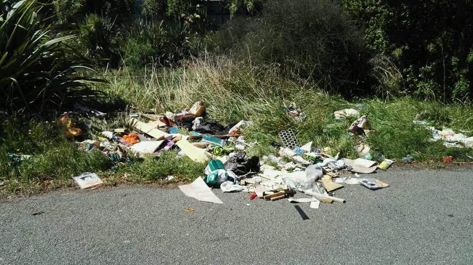 The photograph attached to this rubbish/recycling report