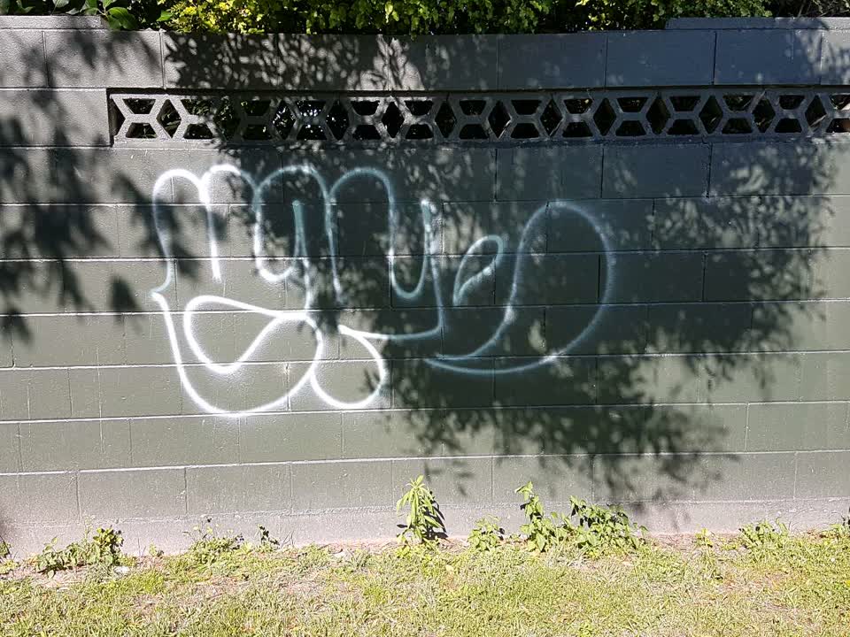The photograph attached to this graffiti report