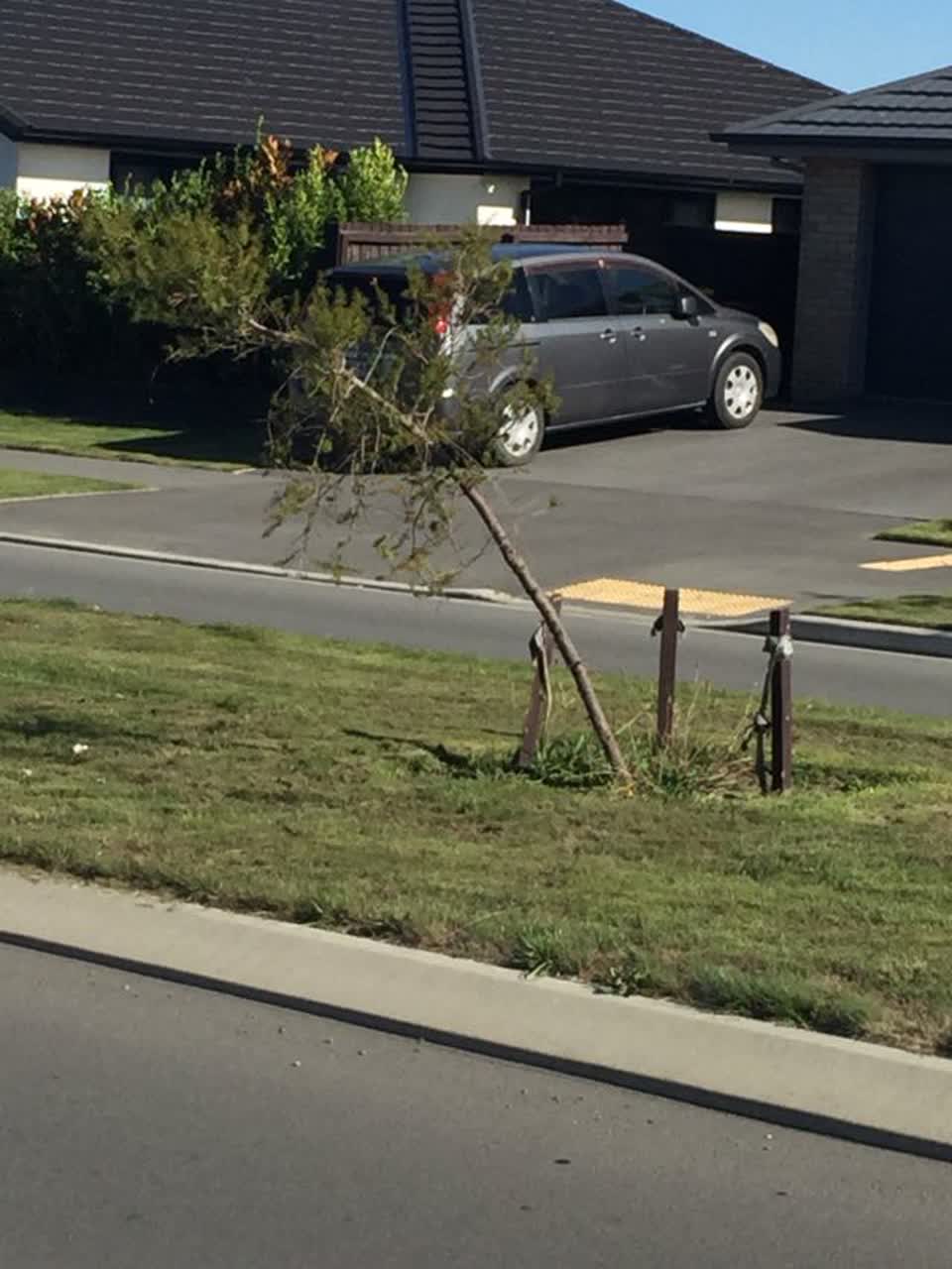 The photograph attached to this parks report