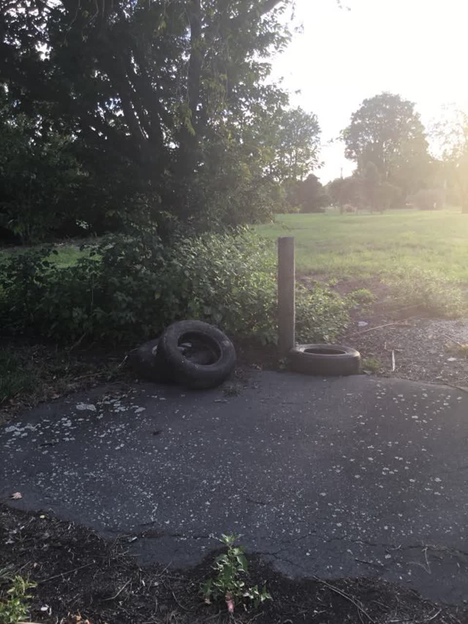 The photograph attached to this rubbish/recycling report